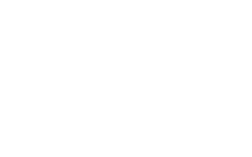 The Payroll Shoppe